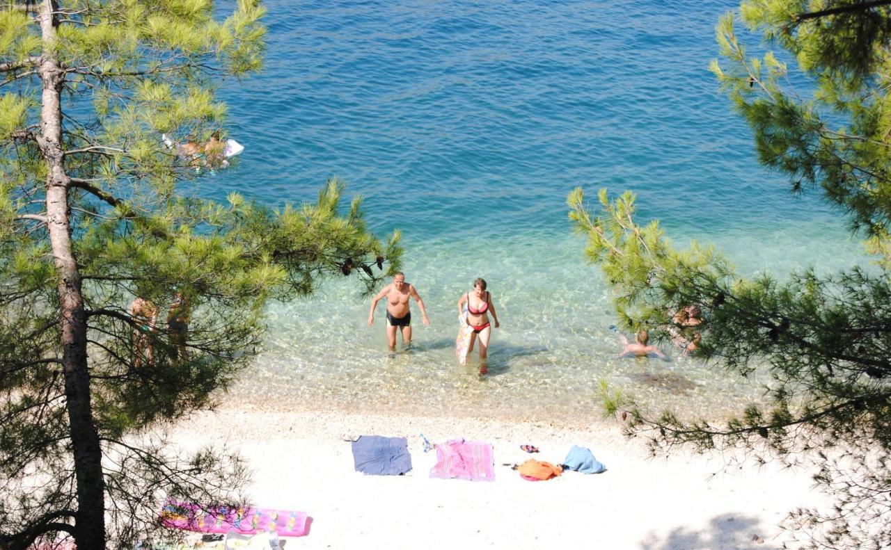 Summer Residence Near The Sea Donji Okrug  Esterno foto